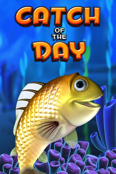 Catch Of The Day